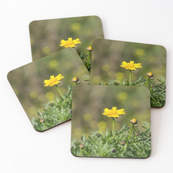 Item preview, Yellow Daisy Among Green Foliage With Small Snail on Stem In Sunny Garden Close-Up designed and sold by Nmallia.
