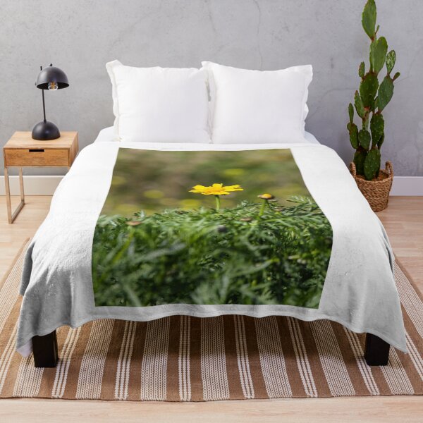 Item preview, Yellow Daisy Among Green Foliage With Small Snail on Stem In Sunny Garden Close-Up designed and sold by Nmallia.