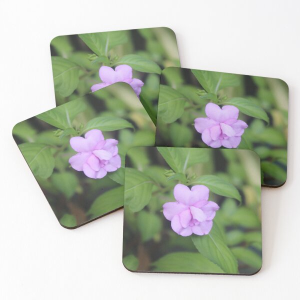 Item preview, Delicate Impatiens Flower - Soft nature photography designed and sold by Cha-s-lens.