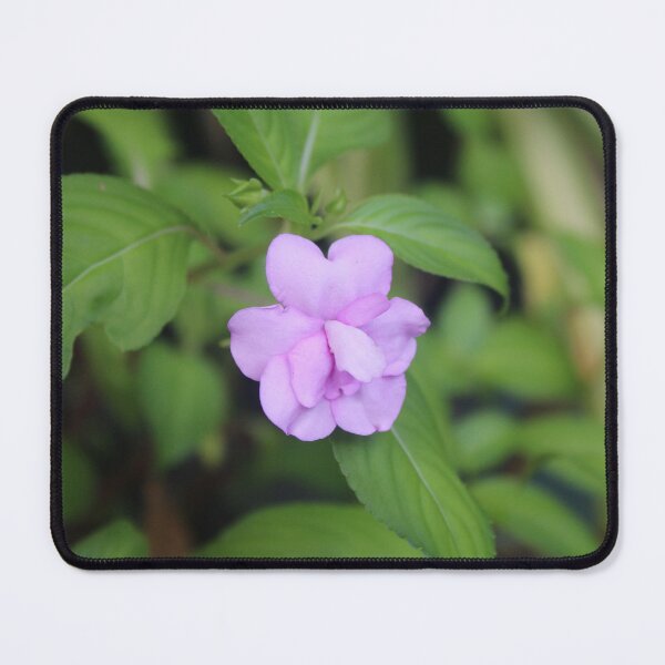 Item preview, Delicate Impatiens Flower - Soft nature photography designed and sold by Cha-s-lens.