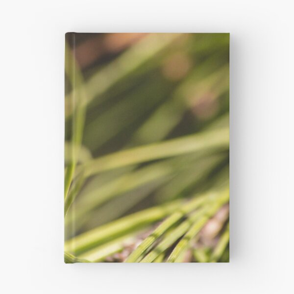 Item preview, Pine Cone Bud Close-Up on Evergreen Needles in Natural Light designed and sold by Nmallia.