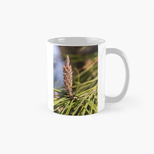 Item preview, Pine Cone Bud Close-Up on Evergreen Needles in Natural Light designed and sold by Nmallia.