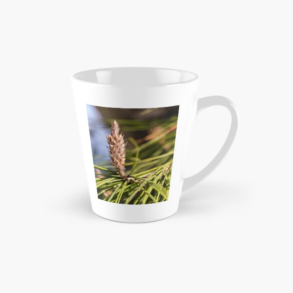 Item preview, Pine Cone Bud Close-Up on Evergreen Needles in Natural Light designed and sold by Nmallia.