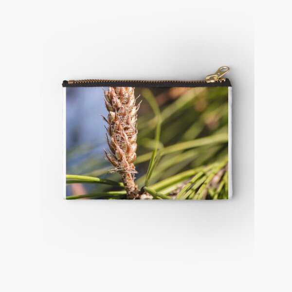 Item preview, Pine Cone Bud Close-Up on Evergreen Needles in Natural Light designed and sold by Nmallia.