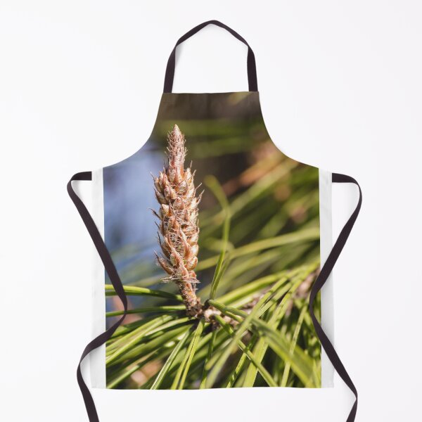 Item preview, Pine Cone Bud Close-Up on Evergreen Needles in Natural Light designed and sold by Nmallia.