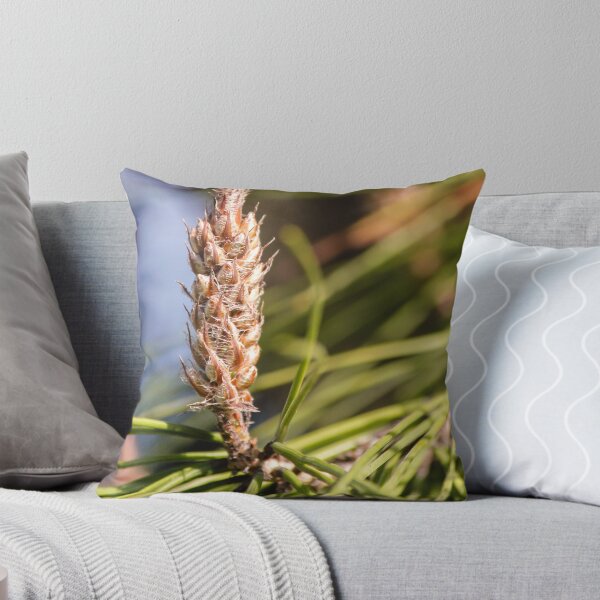 Item preview, Pine Cone Bud Close-Up on Evergreen Needles in Natural Light designed and sold by Nmallia.