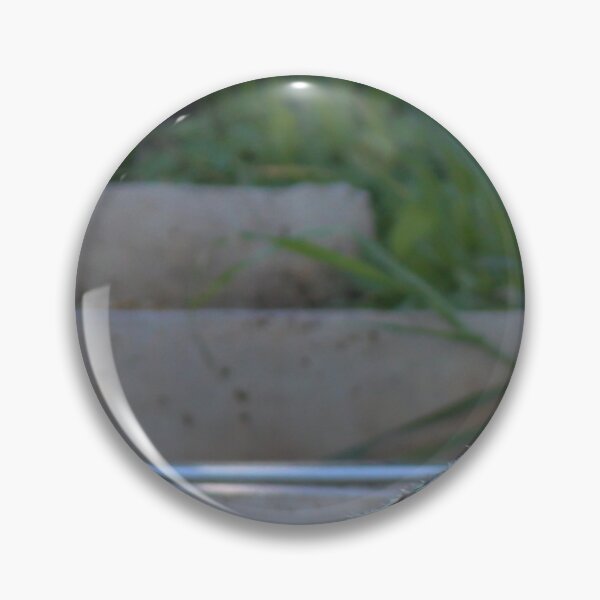 Item preview, Small Sparrow Perched on Frayed Rope Over Concrete Steps With Greenery in Soft Morning Light designed and sold by Nmallia.