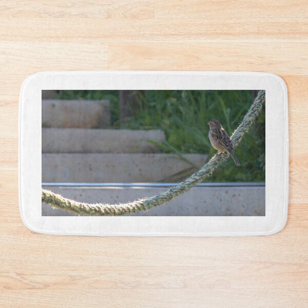Item preview, Small Sparrow Perched on Frayed Rope Over Concrete Steps With Greenery in Soft Morning Light designed and sold by Nmallia.