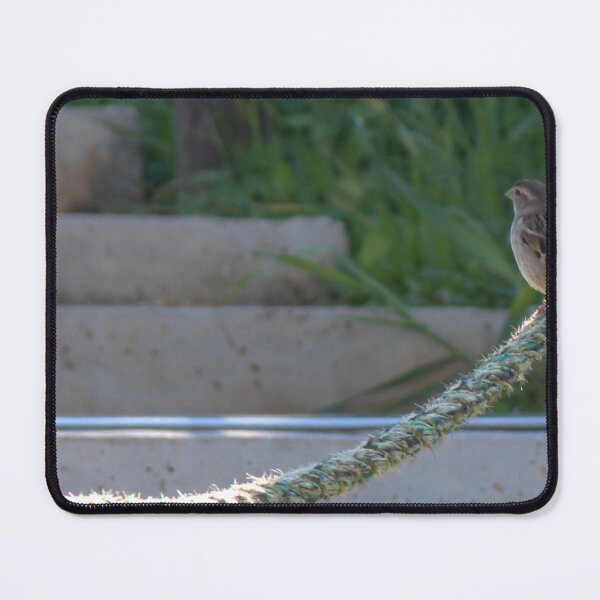 Item preview, Small Sparrow Perched on Frayed Rope Over Concrete Steps With Greenery in Soft Morning Light designed and sold by Nmallia.