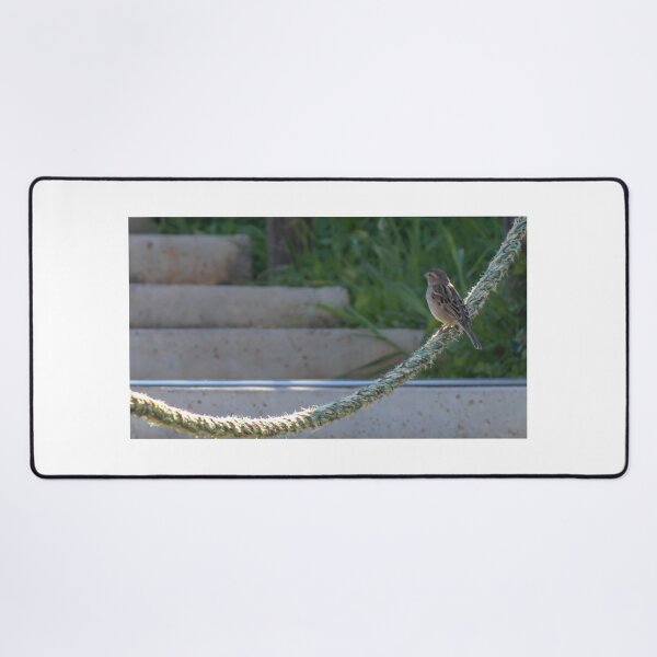 Item preview, Small Sparrow Perched on Frayed Rope Over Concrete Steps With Greenery in Soft Morning Light designed and sold by Nmallia.