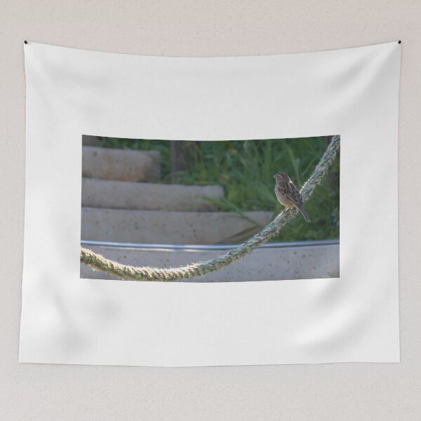 Item preview, Small Sparrow Perched on Frayed Rope Over Concrete Steps With Greenery in Soft Morning Light designed and sold by Nmallia.