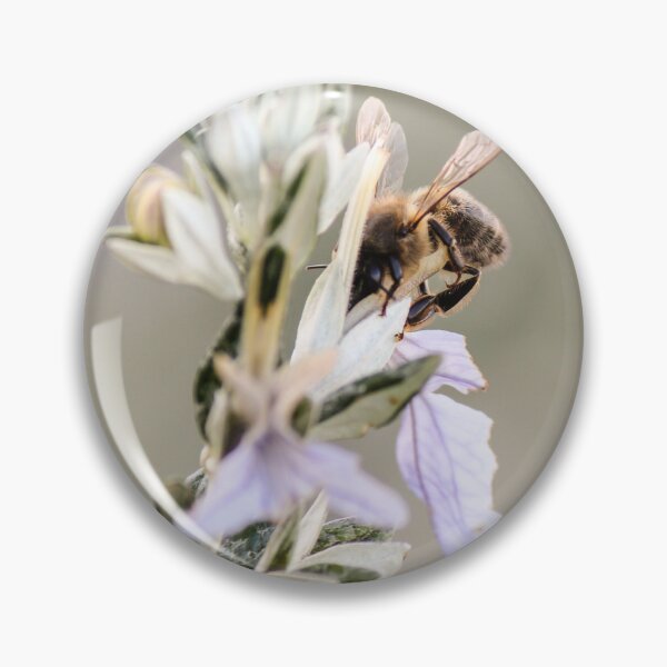 Item preview, Honey Bee On Pale Flower Pollinating — Macro Close-Up Of Nature, Nectar And Garden Life designed and sold by Nmallia.