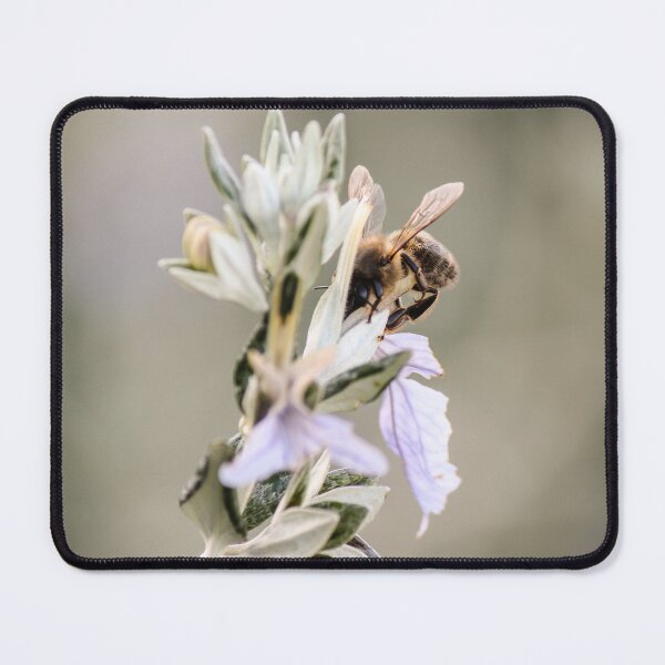 Item preview, Honey Bee On Pale Flower Pollinating — Macro Close-Up Of Nature, Nectar And Garden Life designed and sold by Nmallia.
