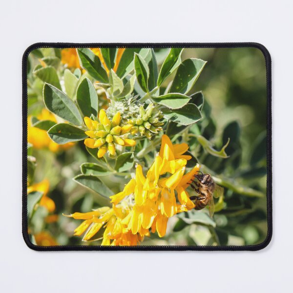 Item preview, Bee Pollinating Bright Yellow Wildflowers Among Green Leaves In Sunny Natural Garden Setting designed and sold by Nmallia.