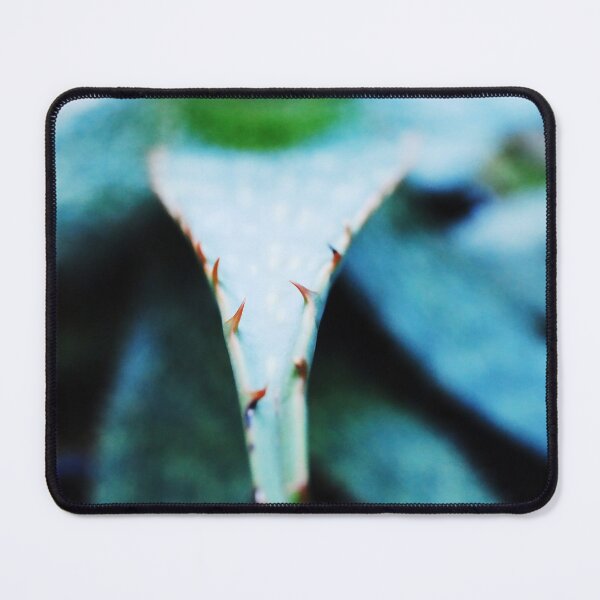Item preview, Agave Cactus Thorns designed and sold by WonderWildWorks.