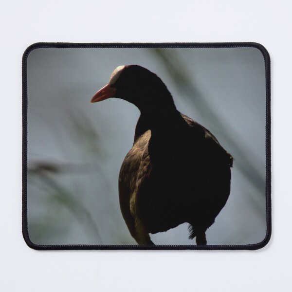 Item preview, Copy of Frozen reality - Beautiful nature 801 designed and sold by deep-sea-birds.