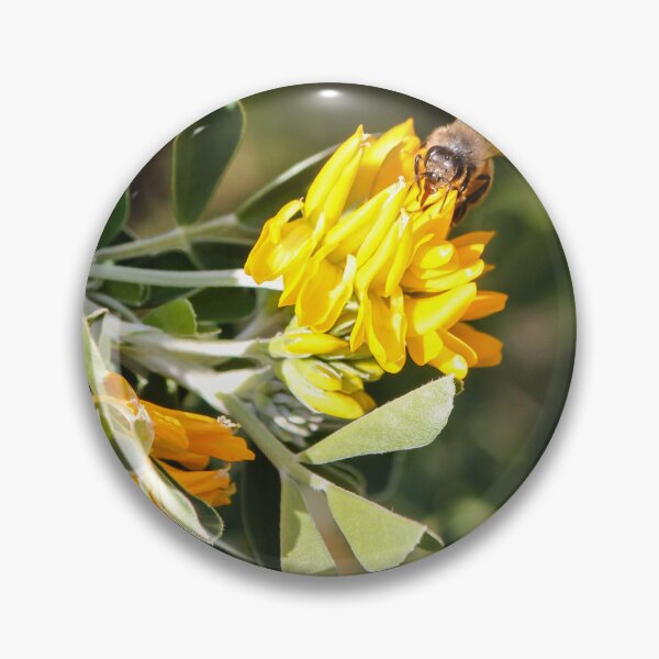 Item preview, Honeybee Pollinating Bright Yellow Wildflowers Close-Up On Green Shrub In Sunny Summer Garden Macro designed and sold by Nmallia.