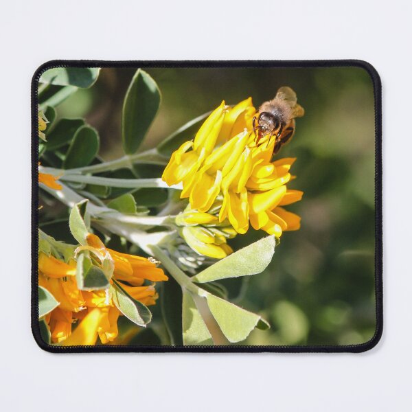Item preview, Honeybee Pollinating Bright Yellow Wildflowers Close-Up On Green Shrub In Sunny Summer Garden Macro designed and sold by Nmallia.