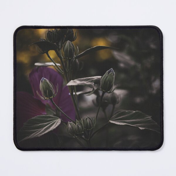 Item preview, Moody Dark Hibiscus Flower Buds with Deep Purple Petals designed and sold by LacArtPhoto.