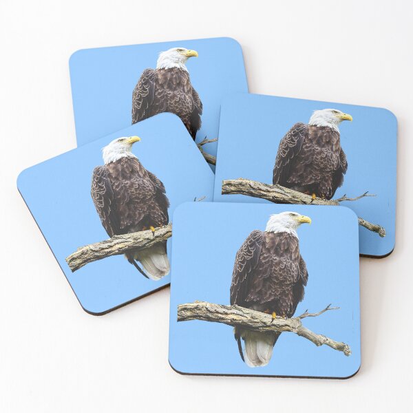 Item preview, Bald Eagle Perched on a Branch designed and sold by Susan Savad.
