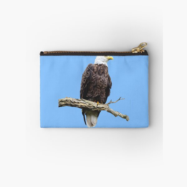 Item preview, Bald Eagle Perched on a Branch designed and sold by Susan Savad.