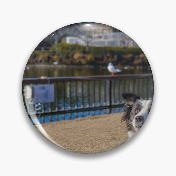 Item preview, Border Collie at Rengeji-ike Park, Japan designed and sold by Pix4Japan.