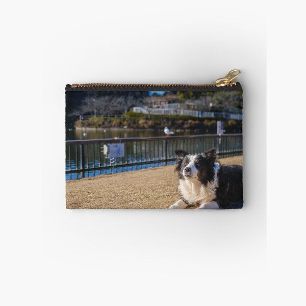 Item preview, Border Collie at Rengeji-ike Park, Japan designed and sold by Pix4Japan.