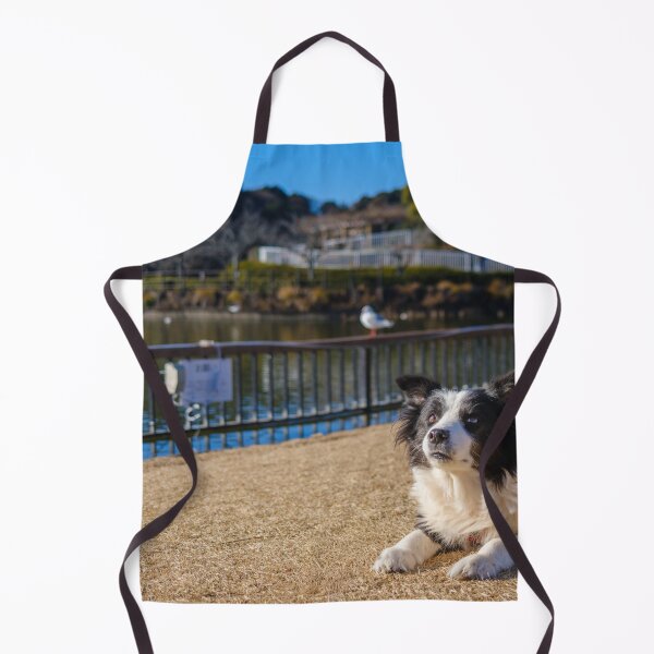 Item preview, Border Collie at Rengeji-ike Park, Japan designed and sold by Pix4Japan.