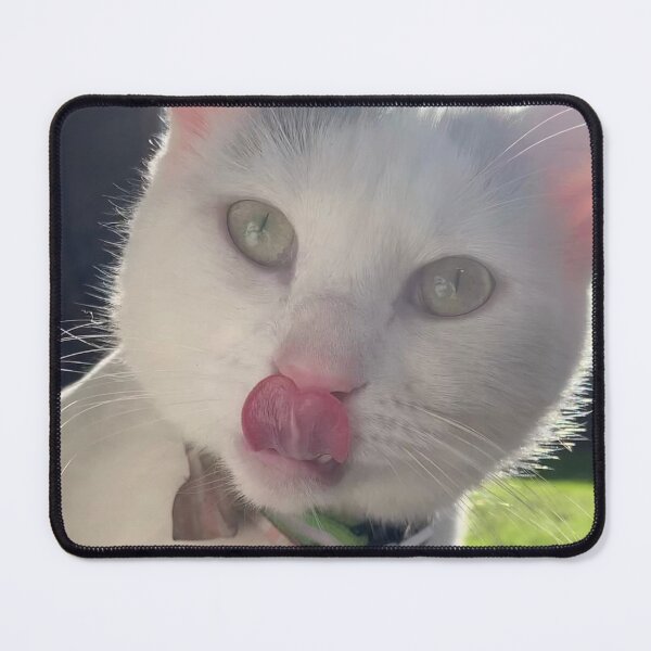 Item preview, Funny White Cat Licking Nose Blep Photography designed and sold by BeesBarn.