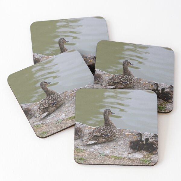 Item preview, Ducks in a row. designed and sold by Paul Pasco.