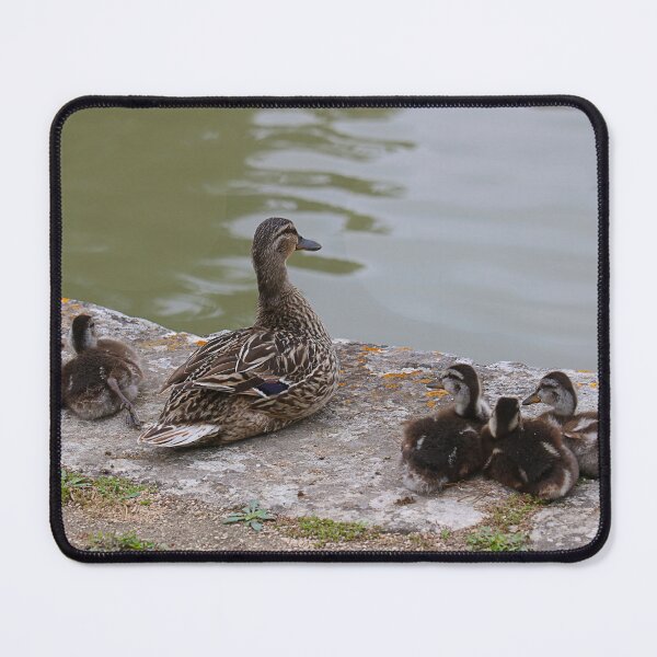 Item preview, Ducks in a row. designed and sold by Paul Pasco.