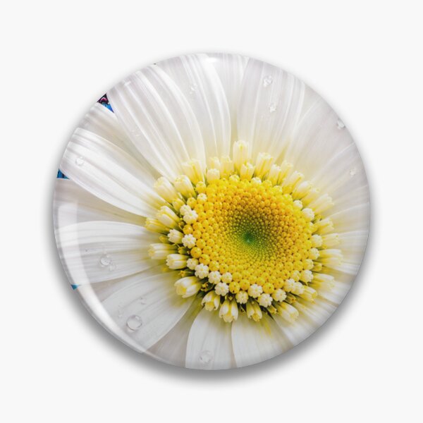 Item preview, Daisy Craze designed and sold by Kimberly Palmer.
