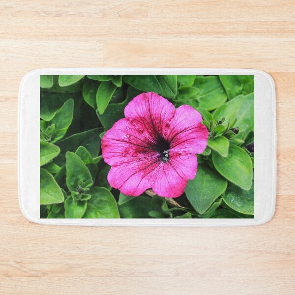 Item preview, Pink Petunia Flower Close-Up With Green Leaves Macro Garden Blooming Detail And Texture designed and sold by Nmallia.
