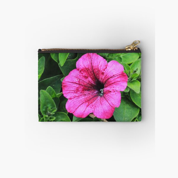 Item preview, Pink Petunia Flower Close-Up With Green Leaves Macro Garden Blooming Detail And Texture designed and sold by Nmallia.