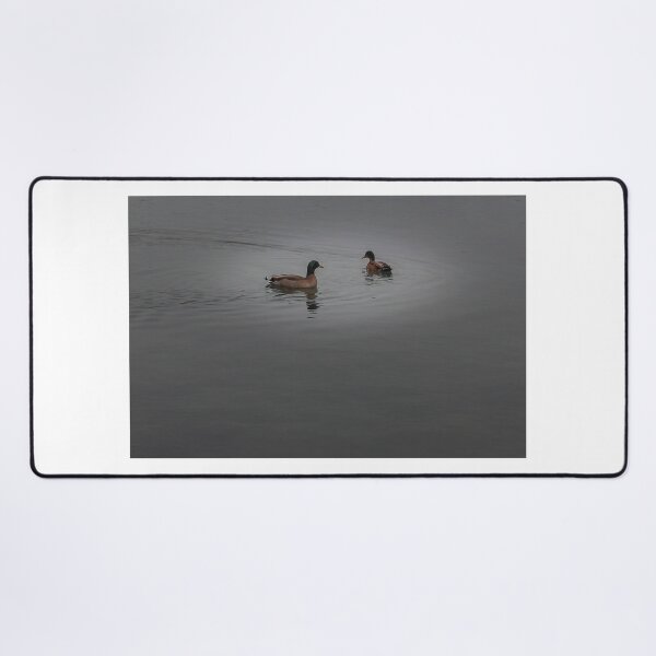 Item preview, Mallard Duck Standing on Rock at Shore With Clear Water Reflection in Calm Lake designed and sold by Nmallia.