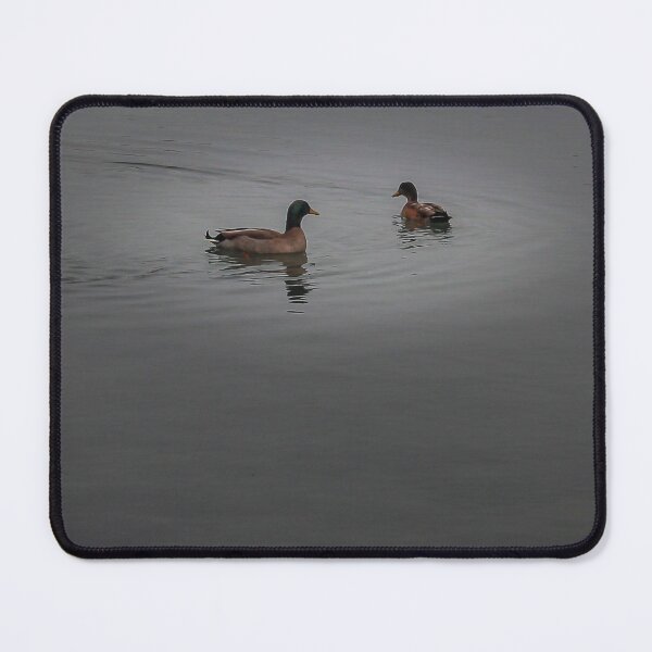 Item preview, Mallard Duck Standing on Rock at Shore With Clear Water Reflection in Calm Lake designed and sold by Nmallia.