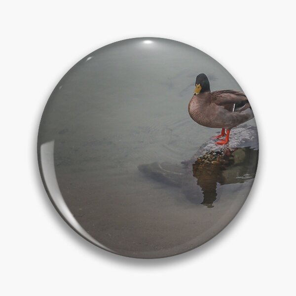 Item preview, Mallard Duck Standing on Rock at Shore With Clear Water Reflection in Calm Lake designed and sold by Nmallia.