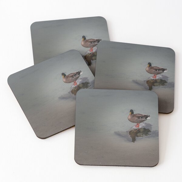 Item preview, Mallard Duck Standing on Rock at Shore With Clear Water Reflection in Calm Lake designed and sold by Nmallia.