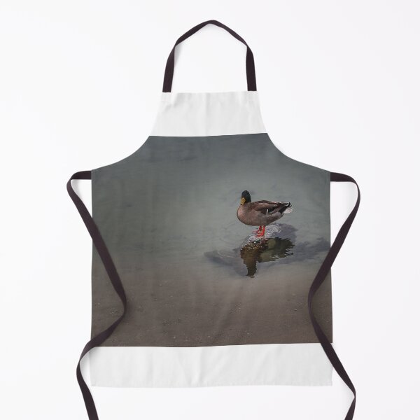 Item preview, Mallard Duck Standing on Rock at Shore With Clear Water Reflection in Calm Lake designed and sold by Nmallia.