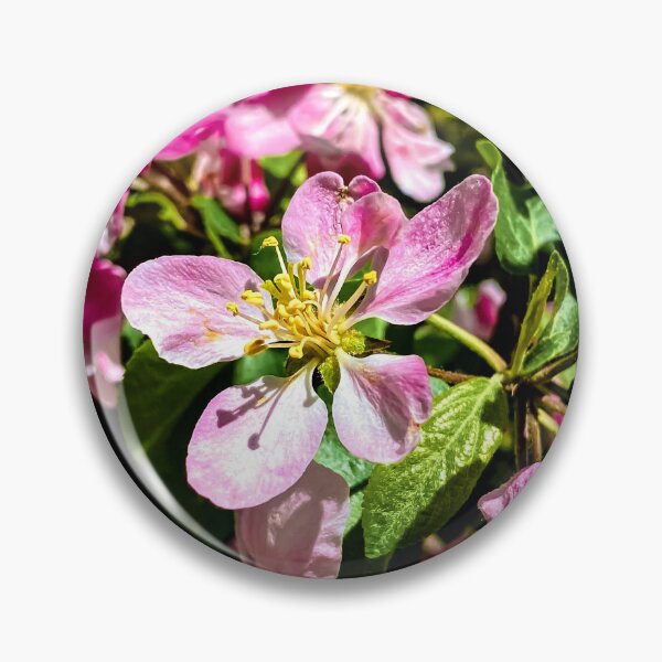 Item preview, Spring Apple Blossom designed and sold by Maria Keady.
