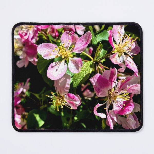 Item preview, Spring Apple Blossom designed and sold by Maria Keady.
