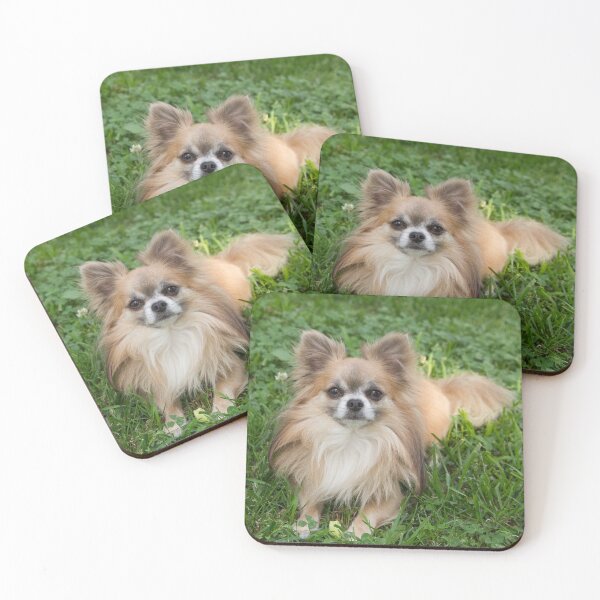 Item preview, Cute Chihuahua Dog Laying and Relaxing in the Grass designed and sold by Angela Dow.