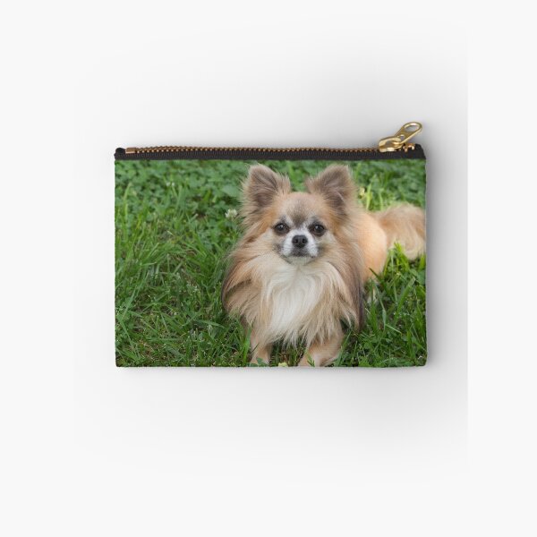 Item preview, Cute Chihuahua Dog Laying and Relaxing in the Grass designed and sold by Angela Dow.