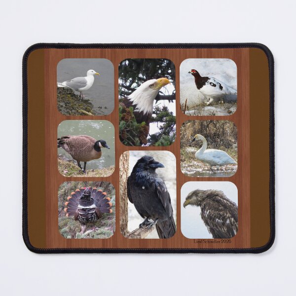 Item preview, Birds of Alaska designed and sold by sharkbait83.