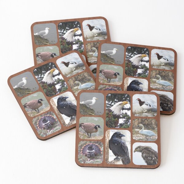 Item preview, Birds of Alaska designed and sold by sharkbait83.