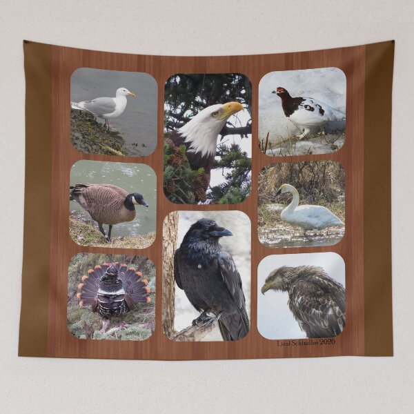 Item preview, Birds of Alaska designed and sold by sharkbait83.