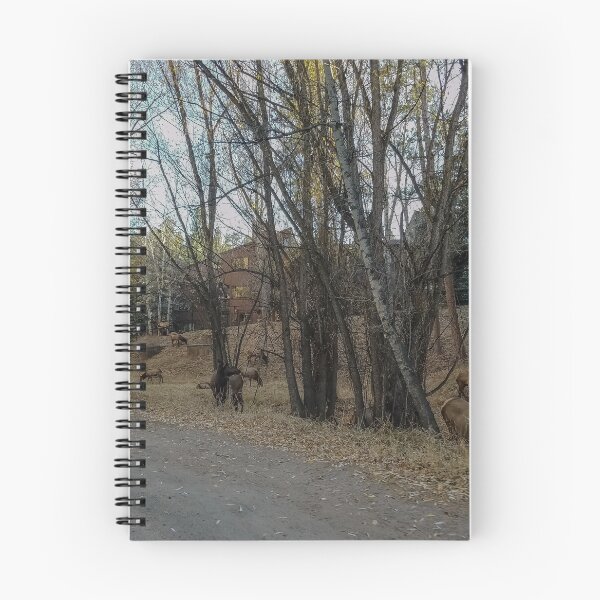 Item preview, Colorado Roads in Autumn v2 designed and sold by OddLilFox.