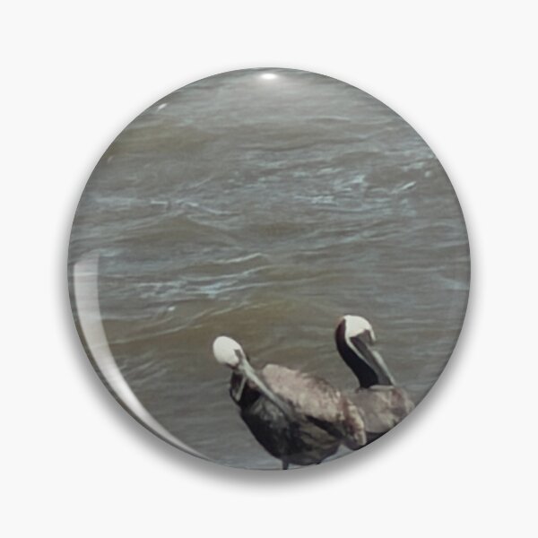 Item preview,  Brown Pelican paradise. designed and sold by Pearls1.