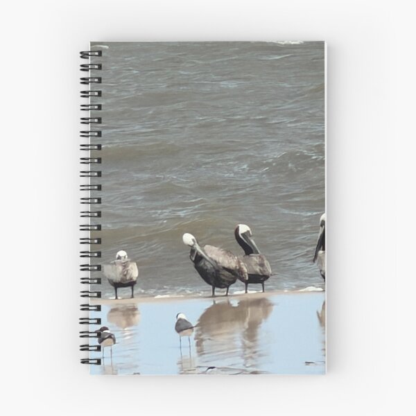 Item preview,  Brown Pelican paradise. designed and sold by Pearls1.