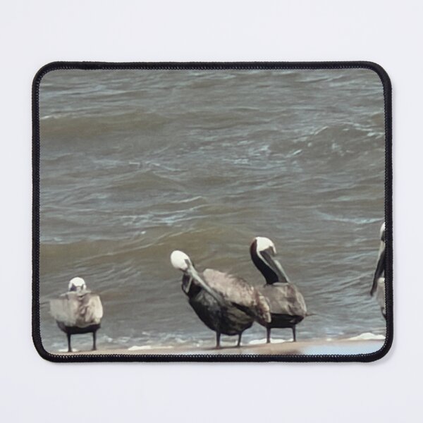 Item preview,  Brown Pelican paradise. designed and sold by Pearls1.